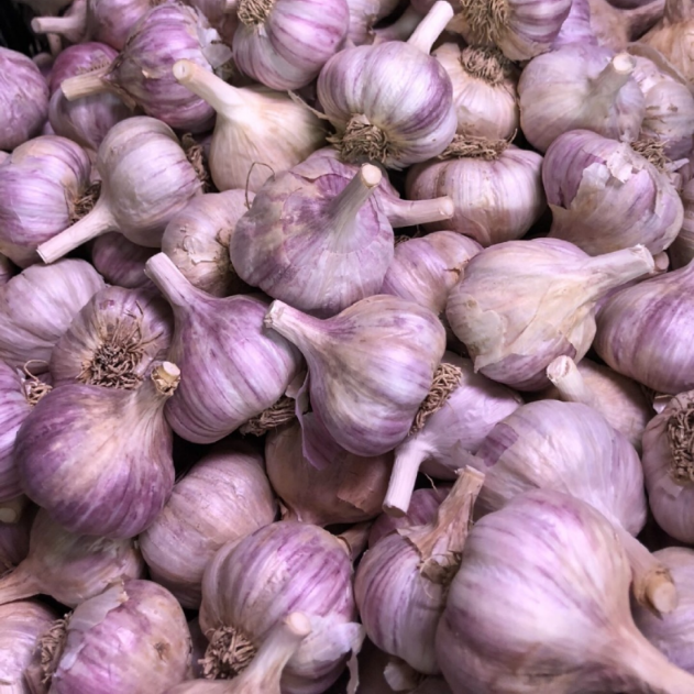 ORGANIC «SVEA» GARLIC